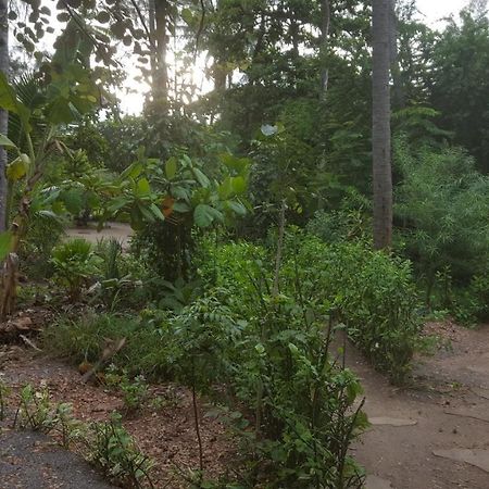 萨凡纳山林小屋 蒙巴萨 外观 照片