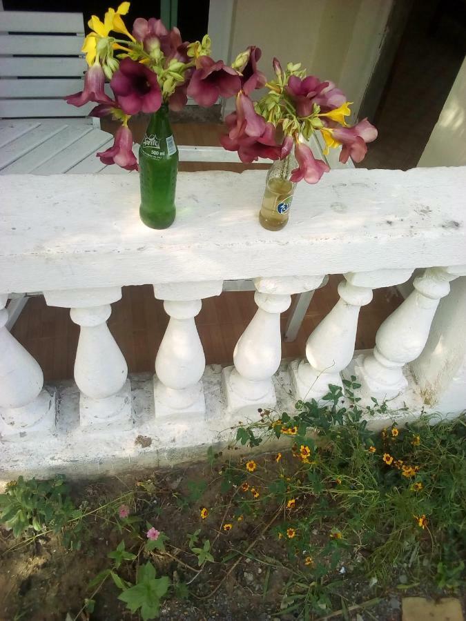 萨凡纳山林小屋 蒙巴萨 外观 照片