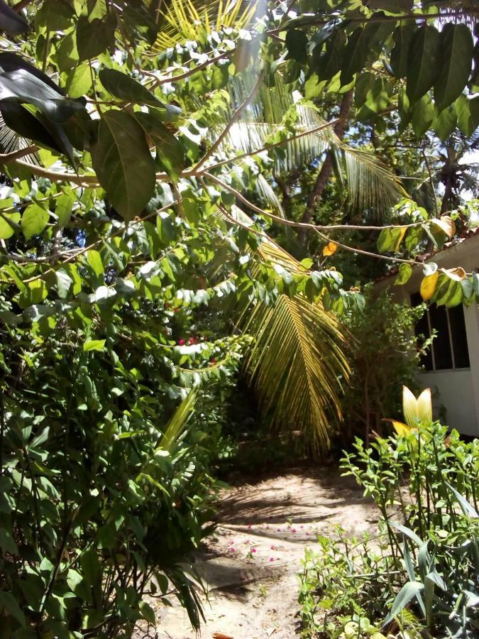 萨凡纳山林小屋 蒙巴萨 外观 照片